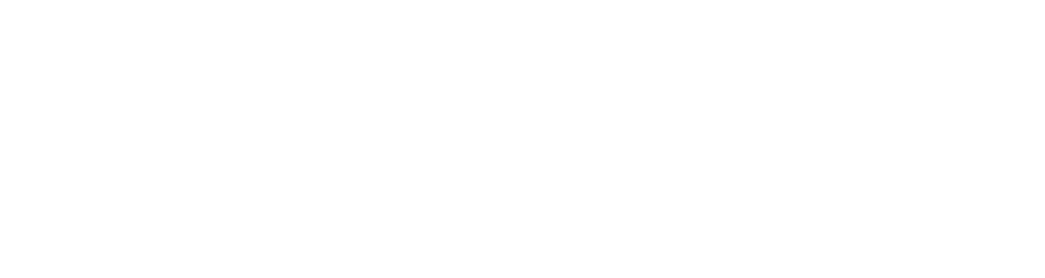 aniolab.com